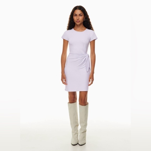 Aritzia Wilfred Fortune Mini Dress - Picture 2 of 12